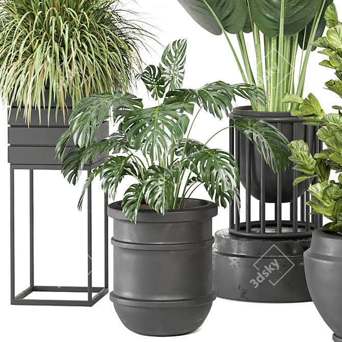 Green Oasis Indoor Plant Collection 3D model image 2