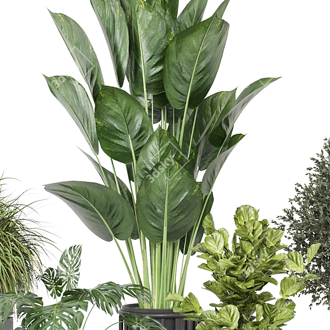 Green Oasis Indoor Plant Collection 3D model image 3