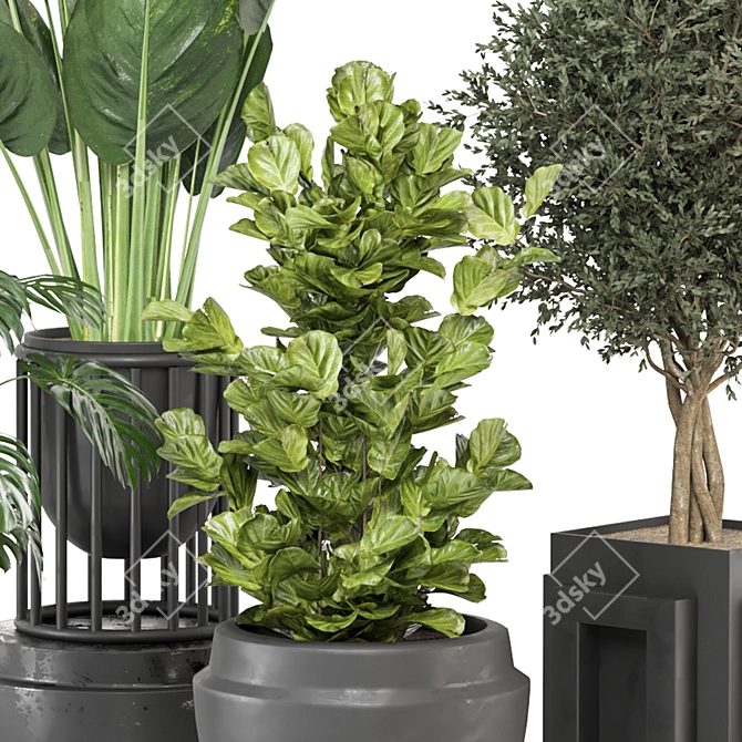 Green Oasis Indoor Plant Collection 3D model image 4