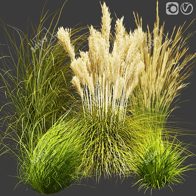 Title: Outdoor Switchgrass - Northwind Collection 3D model image 1