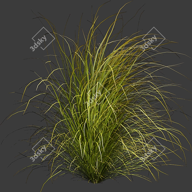 Title: Outdoor Switchgrass - Northwind Collection 3D model image 3