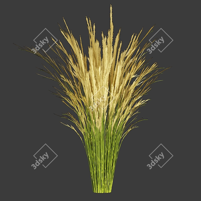 Title: Outdoor Switchgrass - Northwind Collection 3D model image 4