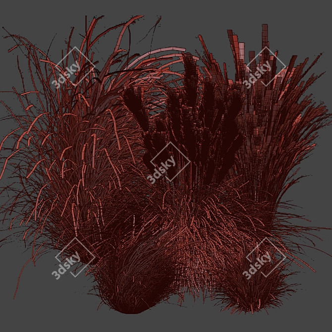 Title: Outdoor Switchgrass - Northwind Collection 3D model image 7