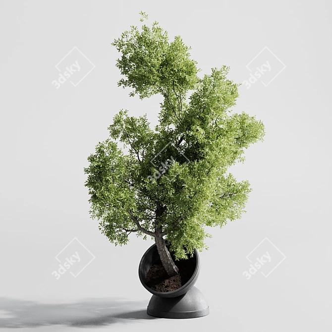 Modern Indoor Plants 3D Models 3D model image 3