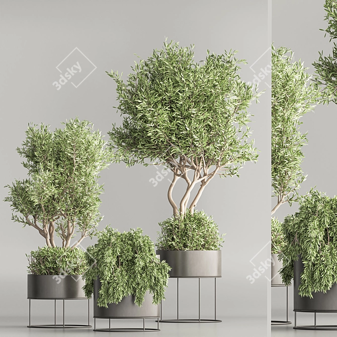 Vibrant Indoor Plant Set 74 3D model image 2