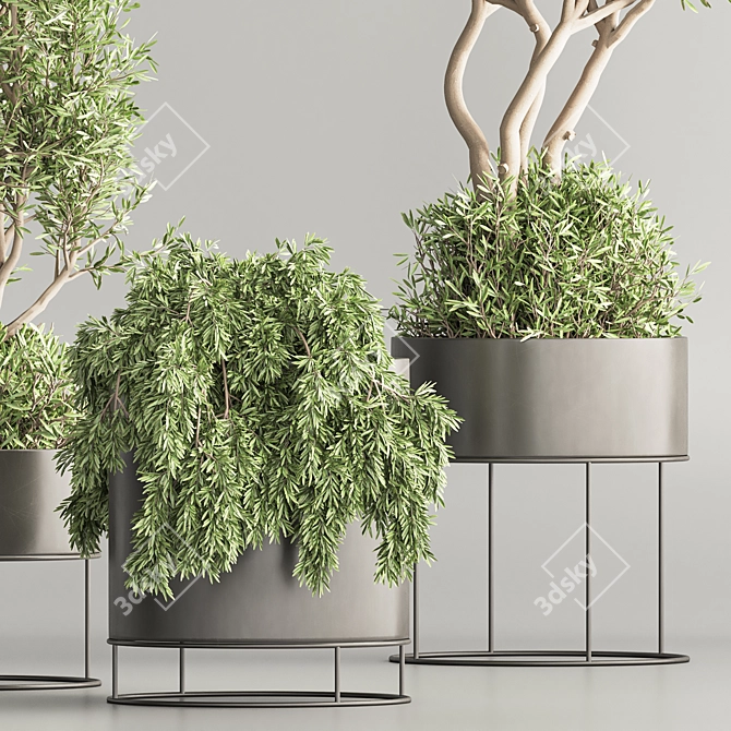 Vibrant Indoor Plant Set 74 3D model image 6