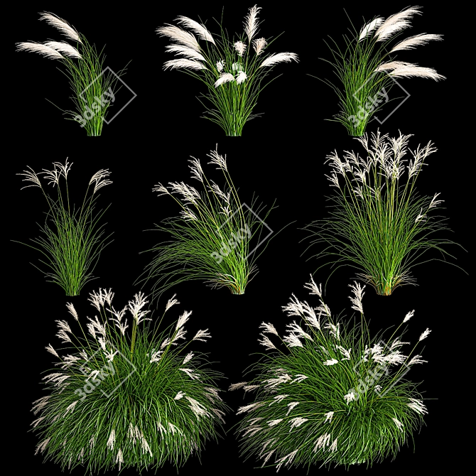 Decorative Grass Collection for Landscaping 3D model image 1