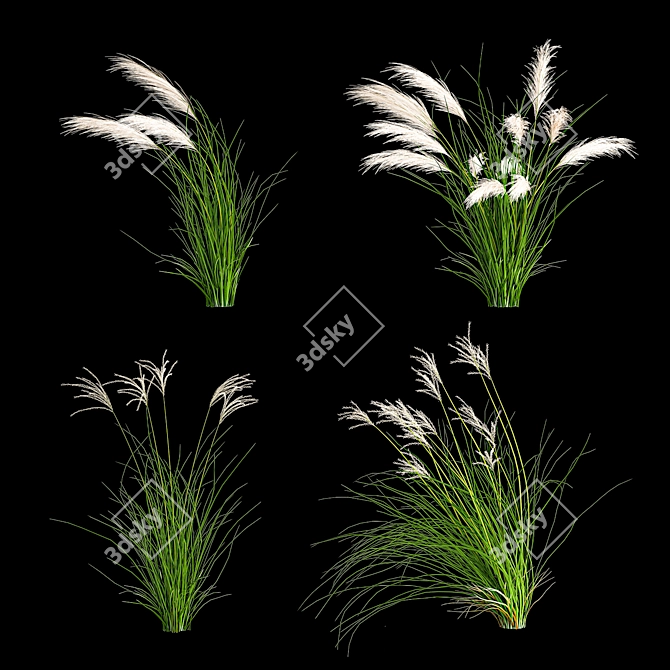 Decorative Grass Collection for Landscaping 3D model image 4