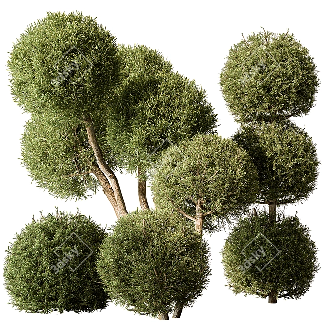 Handcrafted Boxwood Topiary Bush Set 3D model image 1