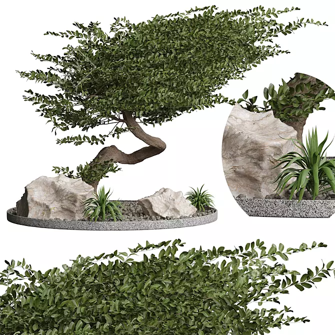 All-Weather Plant 3D Model 3D model image 1