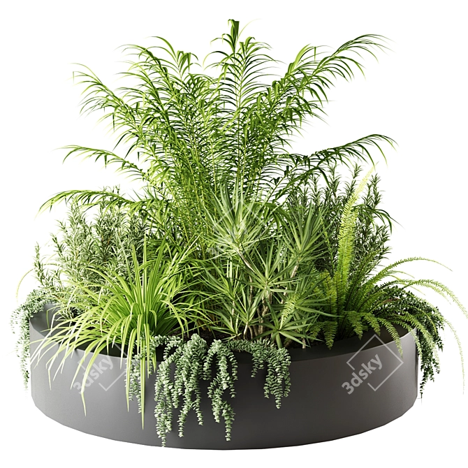 Round Indoor Plants in Stylish Pots 3D model image 1