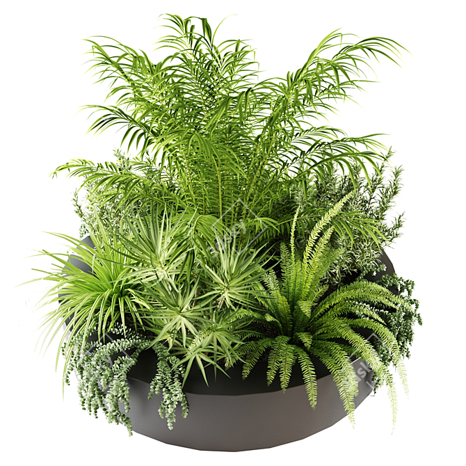 Round Indoor Plants in Stylish Pots 3D model image 3