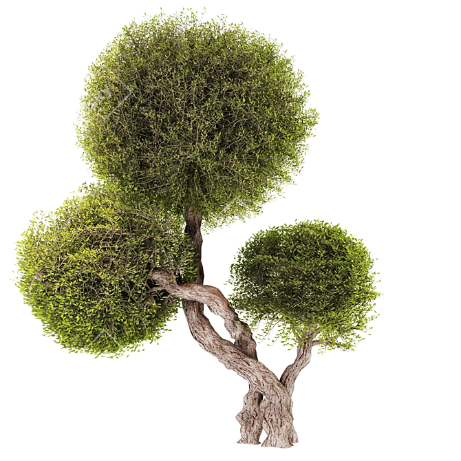 Artificial Topiary Ball Bush Set 3D model image 2