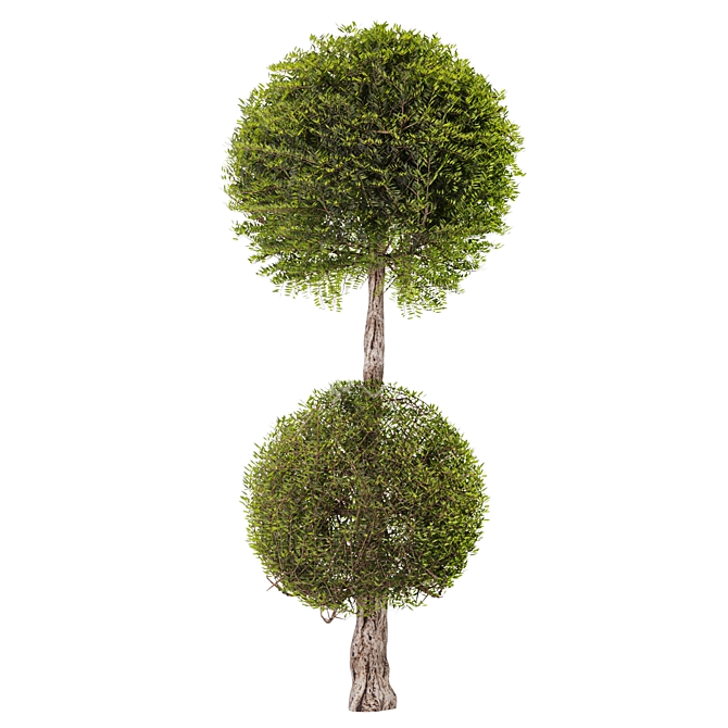 Artificial Topiary Ball Bush Set 3D model image 3