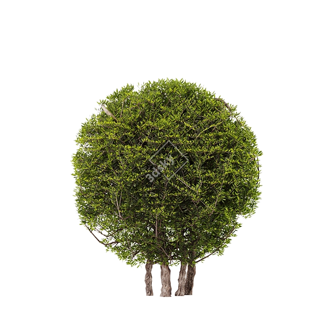 Artificial Topiary Ball Bush Set 3D model image 4