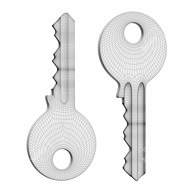 Metallic Key - Genuine Security 3D model image 2