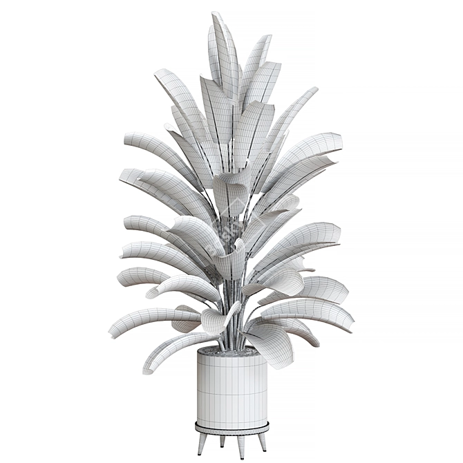 Corona Plant Collection 3D Max 3D model image 2