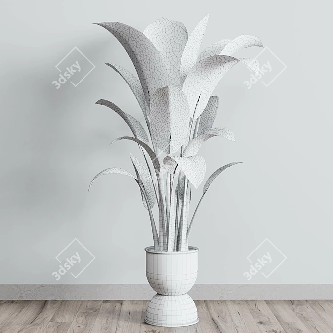 Rubber Plant in Concrete Vase 3D model image 5