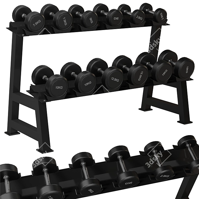 Gym Dumbbell Rack Organizer Stand 3D model image 1