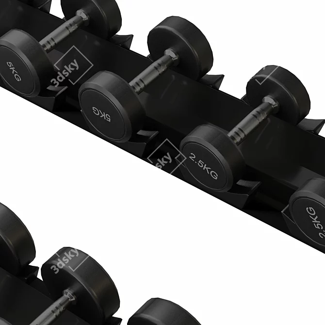 Gym Dumbbell Rack Organizer Stand 3D model image 2