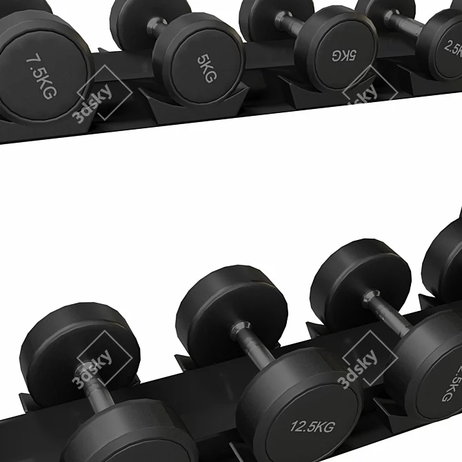 Gym Dumbbell Rack Organizer Stand 3D model image 4