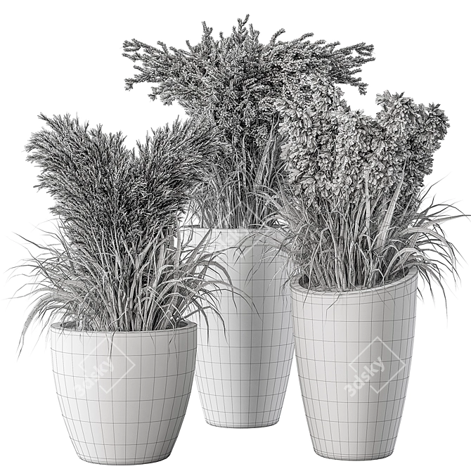 Indoor Bush Plant 459 3D model image 4