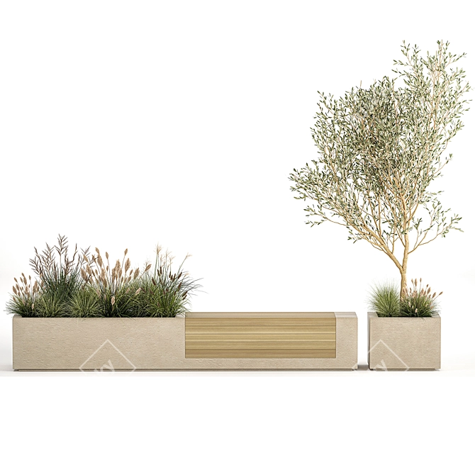 Urban Oasis Bench with Olive Tree & Shrubs 3D model image 4