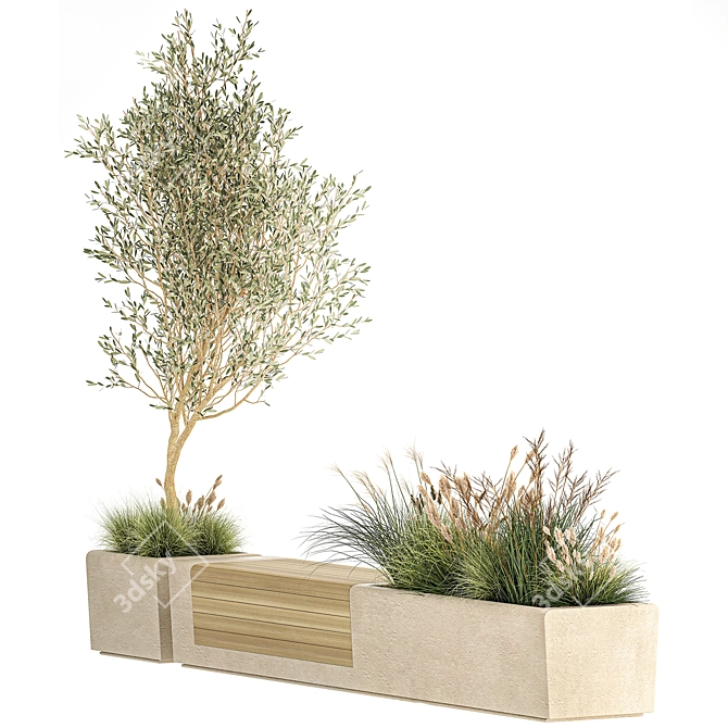 Urban Oasis Bench with Olive Tree & Shrubs 3D model image 5