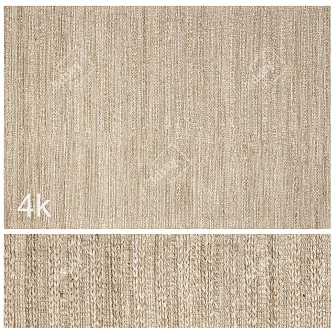 Braided Jute Rug Set 3D model image 1