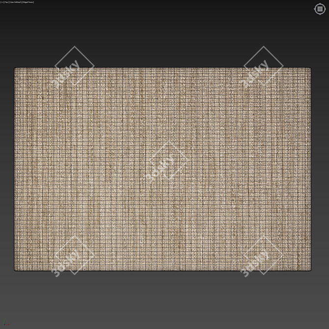 Braided Jute Rug Set 3D model image 4