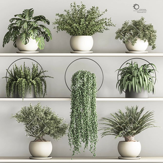 Versatile Hanging Indoor Plant Set 3D model image 1