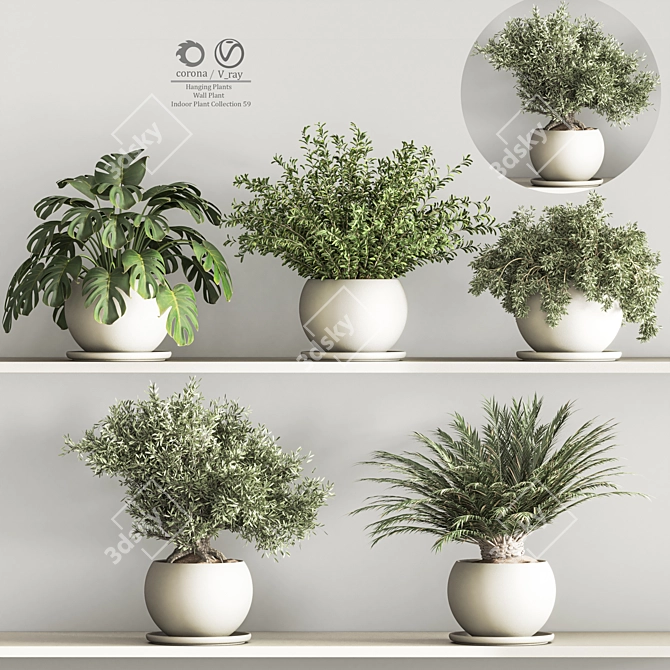 Versatile Hanging Indoor Plant Set 3D model image 2