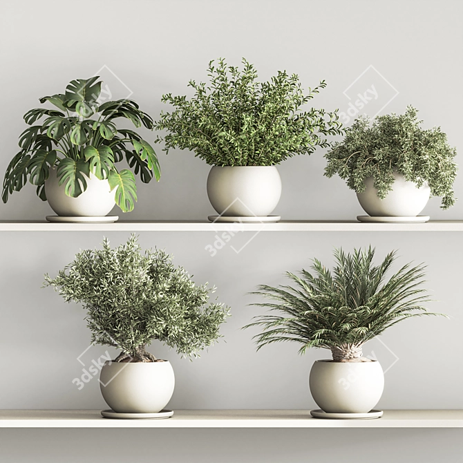 Versatile Hanging Indoor Plant Set 3D model image 3