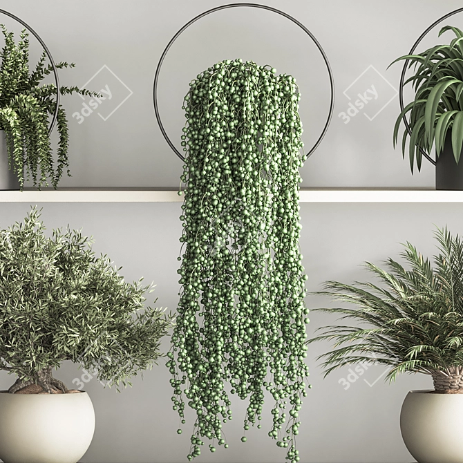 Versatile Hanging Indoor Plant Set 3D model image 4