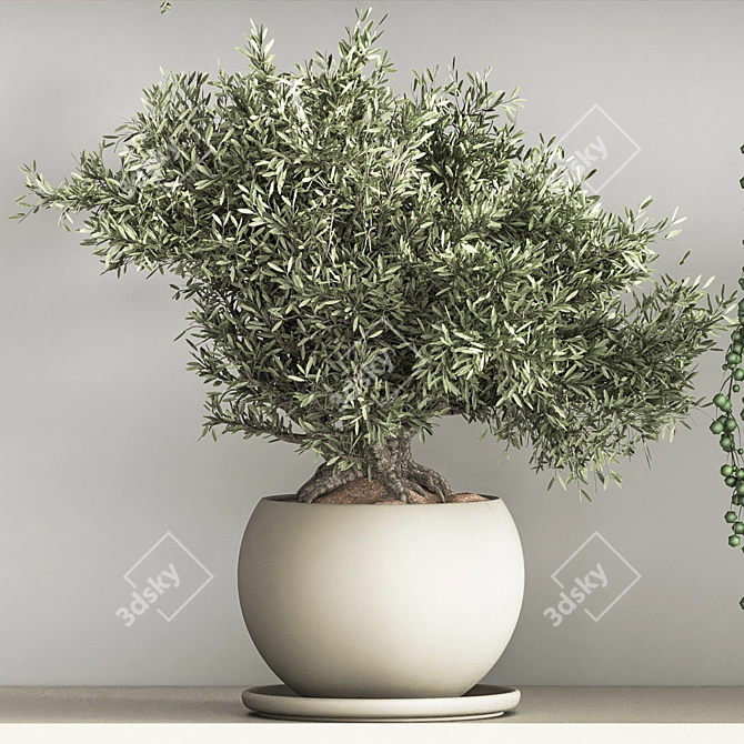 Versatile Hanging Indoor Plant Set 3D model image 5