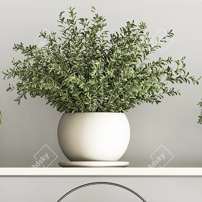 Versatile Hanging Indoor Plant Set 3D model image 6