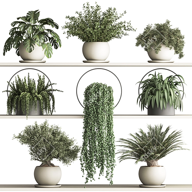 Versatile Hanging Indoor Plant Set 3D model image 8