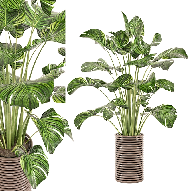 Modern Indoor Plants Collection Set 3D model image 5