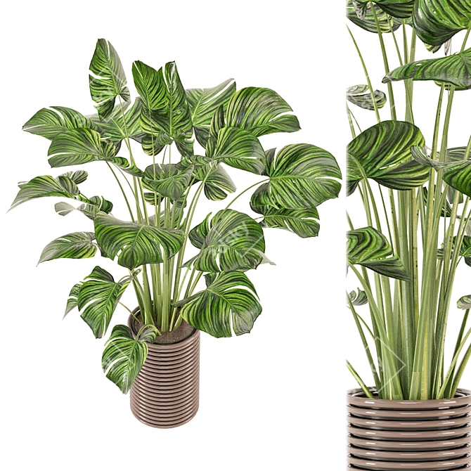 Modern Indoor Plants Collection Set 3D model image 6