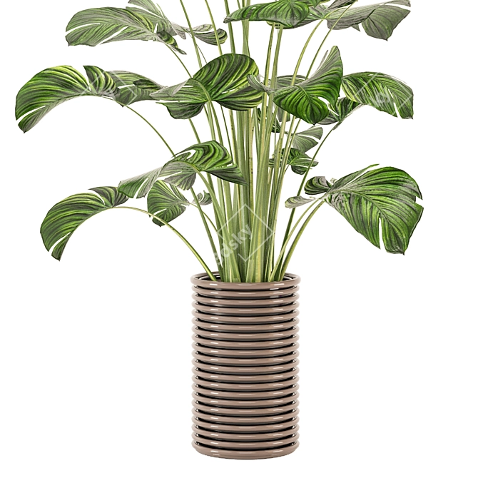 Modern Indoor Plants Collection Set 3D model image 7