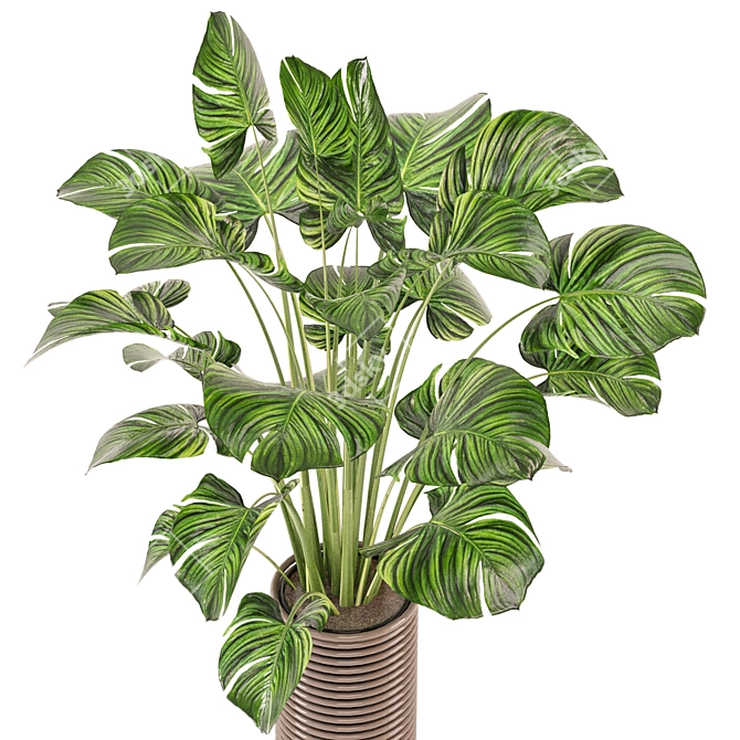 Modern Indoor Plants Collection Set 3D model image 1