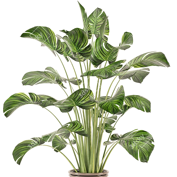 Modern Indoor Plants Collection Set 3D model image 2