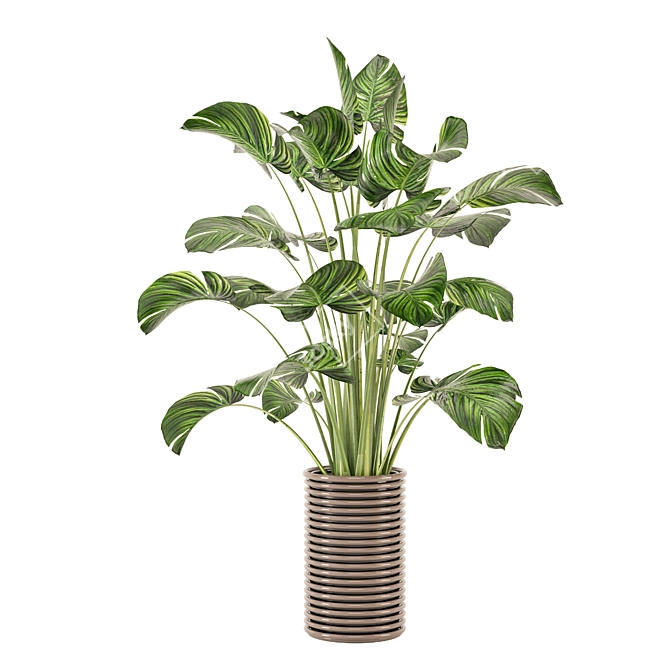 Modern Indoor Plants Collection Set 3D model image 3