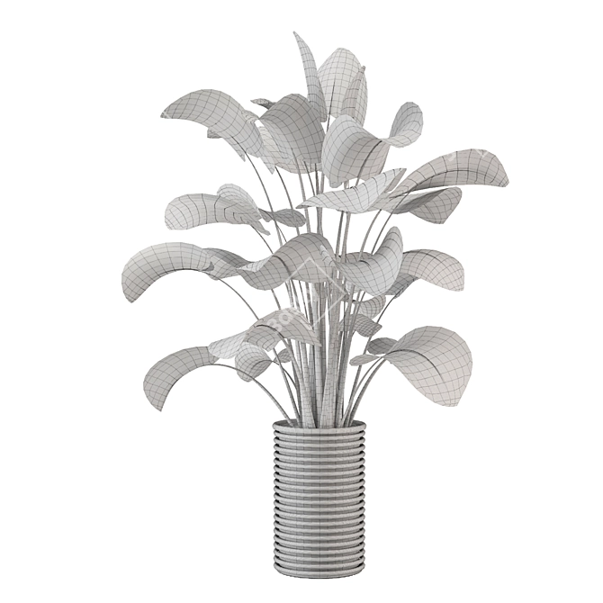 Modern Indoor Plants Collection Set 3D model image 4