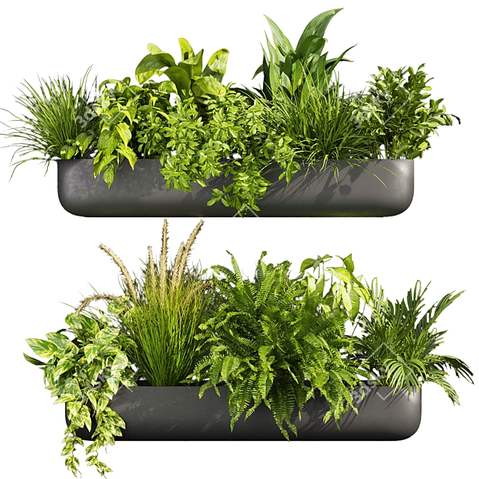 Quality Indoor Plant Collection 417 3D model image 1