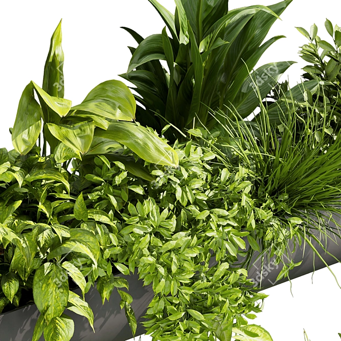 Quality Indoor Plant Collection 417 3D model image 2