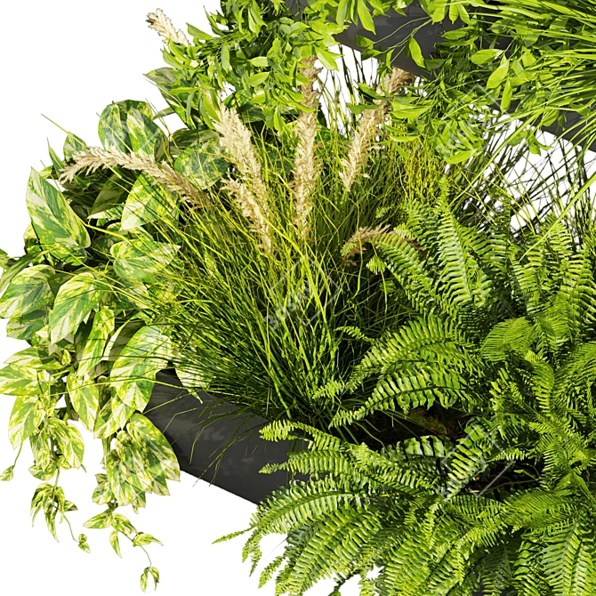 Quality Indoor Plant Collection 417 3D model image 3