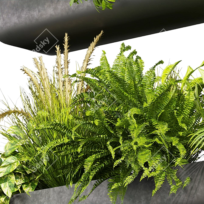 Quality Indoor Plant Collection 417 3D model image 4