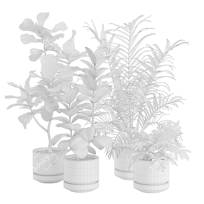 Exotic Indoor Plants Collection - 31 3D model image 2