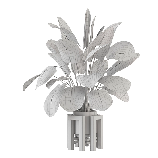 Lush Indoor Plants Collection 2015 3D model image 7